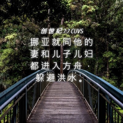Picture 04 - 创 世 纪 7:7 CUVS - 挪 亚 就 同 他 的 妻 和 儿 子 儿 妇 - Bible Verse Picture