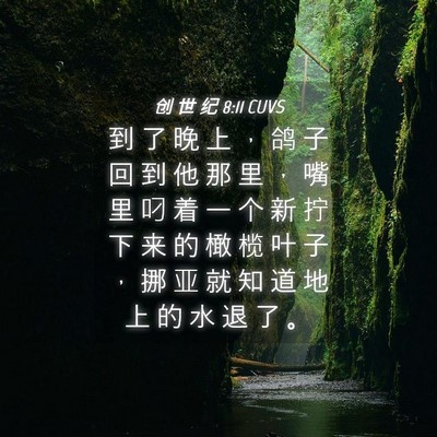 Picture 04 - 创 世 纪 8:11 CUVS - 到 了 晚 上 ， 鸽 子 回 到 他 那 里 - Bible Verse Picture