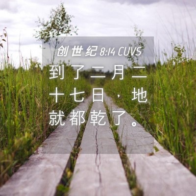 Picture 04 - 创 世 纪 8:14 CUVS - 到 了 二 月 二 十 七 日 ， 地 就 都 - Bible Verse Picture