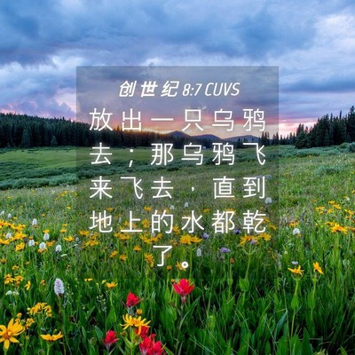 Picture 04 - 创 世 纪 8:7 CUVS - 放 出 一 只 乌 鸦 去 ； 那 乌 鸦 飞 - Bible Verse Picture
