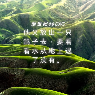 Picture 04 - 创 世 纪 8:8 CUVS - 他 又 放 出 一 只 鸽 子 去 ， 要 看 - Bible Verse Picture