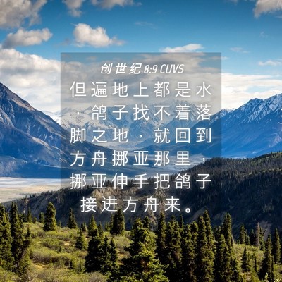 Picture 04 - 创 世 纪 8:9 CUVS - 但 遍 地 上 都 是 水 ， 鸽 子 找 不 - Bible Verse Picture