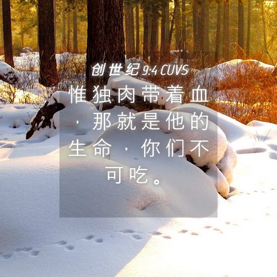 Picture 04 - 创 世 纪 9:4 CUVS - 惟 独 肉 带 着 血 ， 那 就 是 他 的 - Bible Verse Picture
