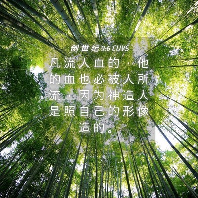 Picture 04 - 创 世 纪 9:6 CUVS - 凡 流 人 血 的 ， 他 的 血 也 必 被 - Bible Verse Picture