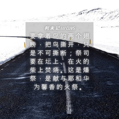 Picture 04 - 利 未 记 1:17 CUVS - 要 拿 着 鸟 的 两 个 翅 膀 ， 把 鸟 - Bible Verse Picture