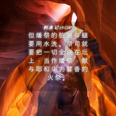 Picture 04 - 利 未 记 1:9 CUVS - 但 燔 祭 的 脏 腑 与 腿 要 用 水 洗 - Bible Verse Picture
