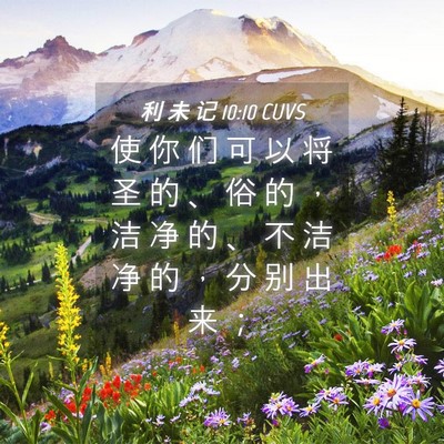 Picture 04 - 利 未 记 10:10 CUVS - 使 你 们 可 以 将 圣 的 、 俗 的 ， - Bible Verse Picture
