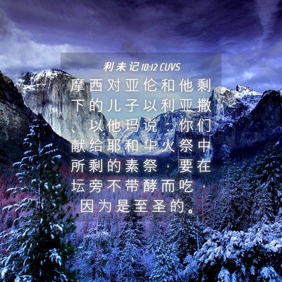 Picture 04 - 利 未 记 10:12 CUVS - 摩 西 对 亚 伦 和 他 剩 下 的 儿 子 - Bible Verse Picture