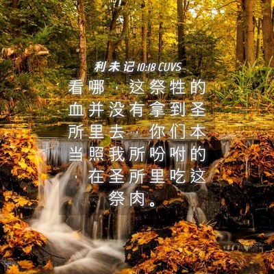 Picture 04 - 利 未 记 10:18 CUVS - 看 哪 ， 这 祭 牲 的 血 并 没 有 拿 - Bible Verse Picture