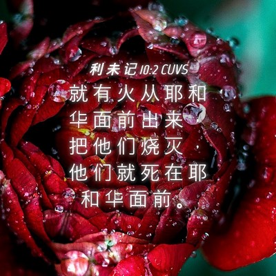 Picture 04 - 利 未 记 10:2 CUVS - 就 有 火 从 耶 和 华 面 前 出 来 ， - Bible Verse Picture
