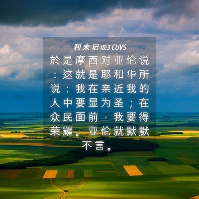 Picture 04 - 利 未 记 10:3 CUVS - 於 是 摩 西 对 亚 伦 说 ： 这 就 是 - Bible Verse Picture