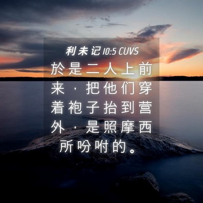 Picture 04 - 利 未 记 10:5 CUVS - 於 是 二 人 上 前 来 ， 把 他 们 穿 - Bible Verse Picture