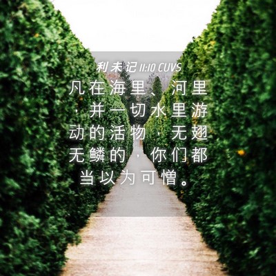Picture 04 - 利 未 记 11:10 CUVS - 凡 在 海 里 、 河 里 ， 并 一 切 水 - Bible Verse Picture