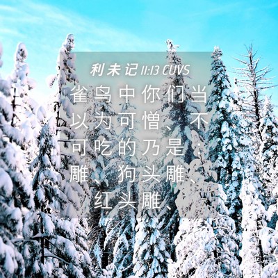 Picture 04 - 利 未 记 11:13 CUVS - 雀 鸟 中 你 们 当 以 为 可 憎 、 不 - Bible Verse Picture