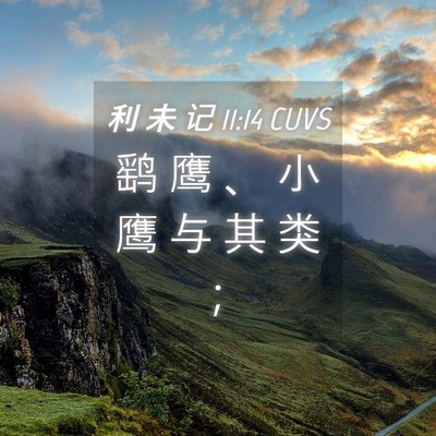 Picture 04 - 利 未 记 11:14 CUVS - 鹞 鹰 、 小 鹰 与 其 类 - Bible Verse Picture