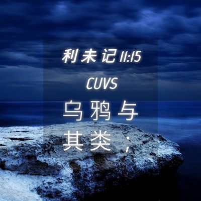 Picture 04 - 利 未 记 11:15 CUVS - 乌 鸦 与 其 类 - Bible Verse Picture