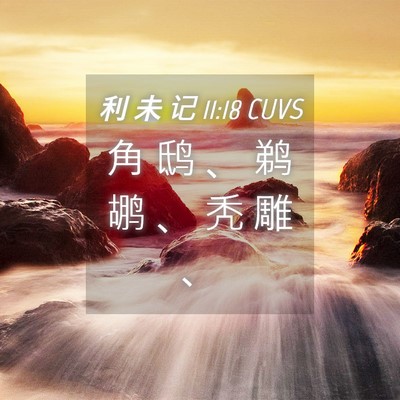Picture 04 - 利 未 记 11:18 CUVS - 角 鸱 、 鹈 鹕 、 秃 雕 - Bible Verse Picture