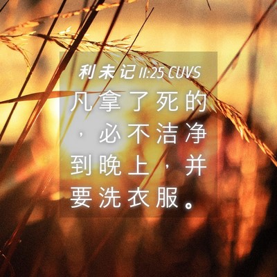 Picture 04 - 利 未 记 11:25 CUVS - 凡 拿 了 死 的 ， 必 不 洁 净 到 晚 - Bible Verse Picture