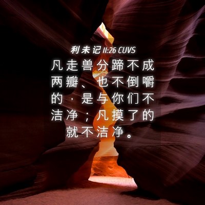 Picture 04 - 利 未 记 11:26 CUVS - 凡 走 兽 分 蹄 不 成 两 瓣 、 也 不 - Bible Verse Picture
