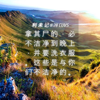 Picture 04 - 利 未 记 11:28 CUVS - 拿 其 尸 的 ， 必 不 洁 净 到 晚 上 - Bible Verse Picture