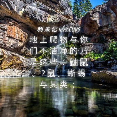 Picture 04 - 利 未 记 11:29 CUVS - 地 上 爬 物 与 你 们 不 洁 净 的 乃 - Bible Verse Picture