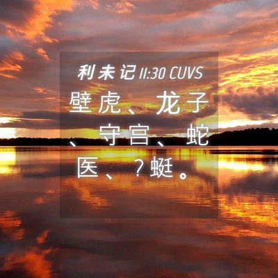 Picture 04 - 利 未 记 11:30 CUVS - 壁 虎 、 龙 子 、 守 宫 、 蛇 医 、 ? - Bible Verse Picture