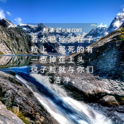 Picture 04 - 利 未 记 11:38 CUVS - 若 水 已 经 浇 在 子 粒 上 ， 那 死 - Bible Verse Picture