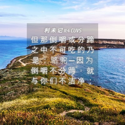 Picture 04 - 利 未 记 11:4 CUVS - 但 那 倒 嚼 或 分 蹄 之 中 不 可 吃 - Bible Verse Picture