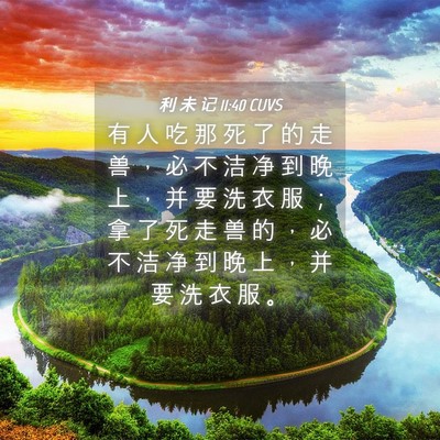 Picture 04 - 利 未 记 11:40 CUVS - 有 人 吃 那 死 了 的 走 兽 ， 必 不 - Bible Verse Picture
