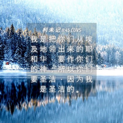 Picture 04 - 利 未 记 11:45 CUVS - 我 是 把 你 们 从 埃 及 地 领 出 来 - Bible Verse Picture