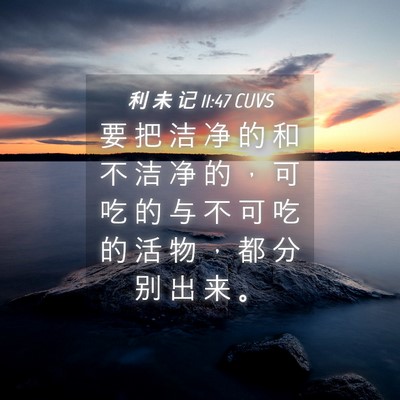 Picture 04 - 利 未 记 11:47 CUVS - 要 把 洁 净 的 和 不 洁 净 的 ， 可 - Bible Verse Picture