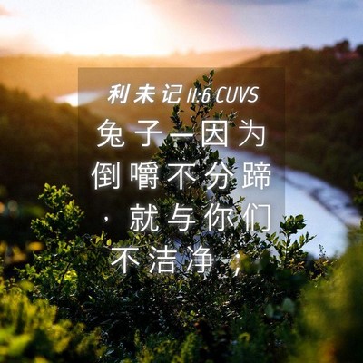 Picture 04 - 利 未 记 11:6 CUVS - 兔 子 ─ 因 为 倒 嚼 不 分 蹄 ， 就 - Bible Verse Picture