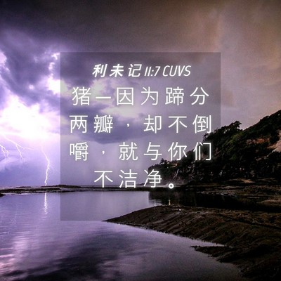 Picture 04 - 利 未 记 11:7 CUVS - 猪 ─ 因 为 蹄 分 两 瓣 ， 却 不 倒 - Bible Verse Picture