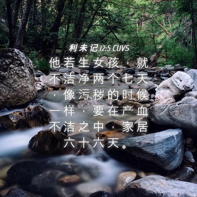 Picture 04 - 利 未 记 12:5 CUVS - 他 若 生 女 孩 ， 就 不 洁 净 两 个 - Bible Verse Picture