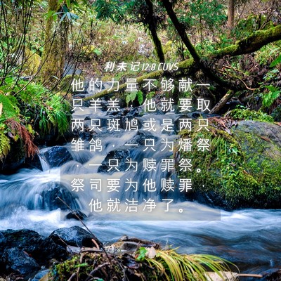 Picture 04 - 利 未 记 12:8 CUVS - 他 的 力 量 不 够 献 一 只 羊 羔 ， - Bible Verse Picture