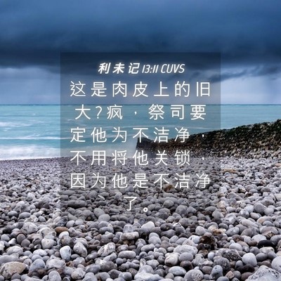 Picture 04 - 利 未 记 13:11 CUVS - 这 是 肉 皮 上 的 旧 大 ? 疯 ， 祭 司 - Bible Verse Picture
