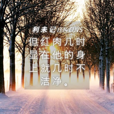 Picture 04 - 利 未 记 13:14 CUVS - 但 红 肉 几 时 显 在 他 的 身 上 就 - Bible Verse Picture