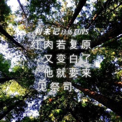 Picture 04 - 利 未 记 13:16 CUVS - 红 肉 若 复 原 ， 又 变 白 了 ， 他 - Bible Verse Picture
