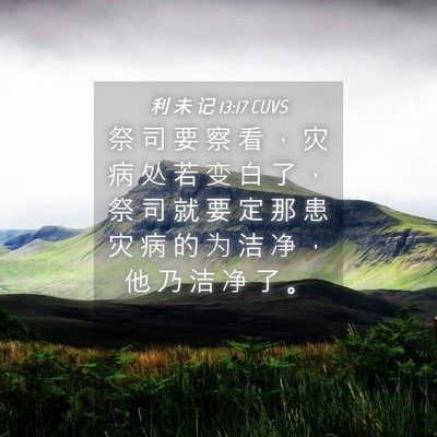 Picture 04 - 利 未 记 13:17 CUVS - 祭 司 要 察 看 ， 灾 病 处 若 变 白 - Bible Verse Picture