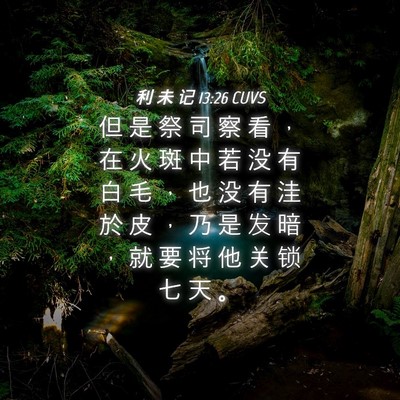 Picture 04 - 利 未 记 13:26 CUVS - 但 是 祭 司 察 看 ， 在 火 斑 中 若 - Bible Verse Picture