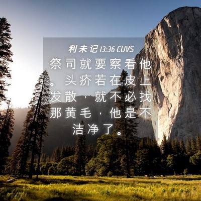 Picture 04 - 利 未 记 13:36 CUVS - 祭 司 就 要 察 看 他 。 头 疥 若 在 - Bible Verse Picture