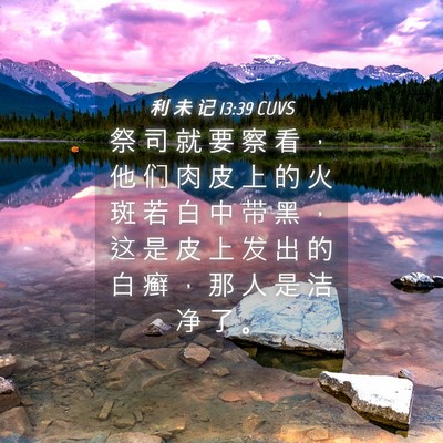 Picture 04 - 利 未 记 13:39 CUVS - 祭 司 就 要 察 看 ， 他 们 肉 皮 上 - Bible Verse Picture