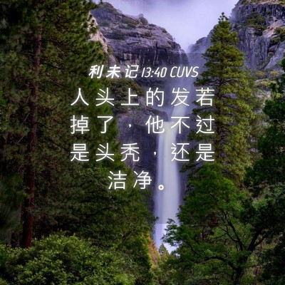 Picture 04 - 利 未 记 13:40 CUVS - 人 头 上 的 发 若 掉 了 ， 他 不 过 - Bible Verse Picture