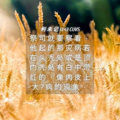 Picture 04 - 利 未 记 13:43 CUVS - 祭 司 就 要 察 看 ， 他 起 的 那 灾 - Bible Verse Picture