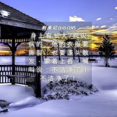 Picture 04 - 利 未 记 13:45 CUVS - 身 上 有 长 大 ? 疯 灾 病 的 ， 他 的 - Bible Verse Picture