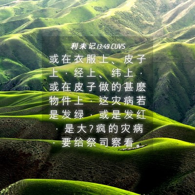 Picture 04 - 利 未 记 13:49 CUVS - 或 在 衣 服 上 、 皮 子 上 ， 经 上 - Bible Verse Picture