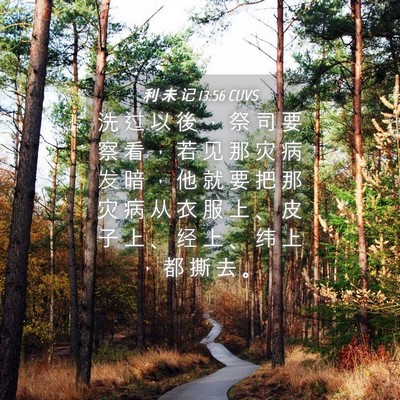 Picture 04 - 利 未 记 13:56 CUVS - 洗 过 以 後 ， 祭 司 要 察 看 ， 若 - Bible Verse Picture