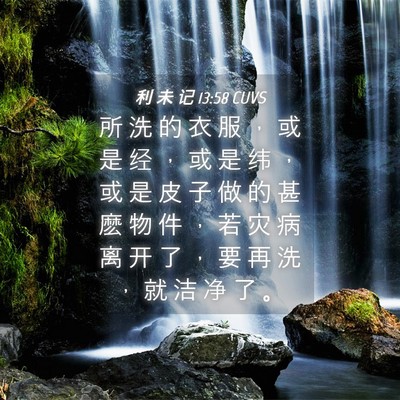 Picture 04 - 利 未 记 13:58 CUVS - 所 洗 的 衣 服 ， 或 是 经 ， 或 是 - Bible Verse Picture