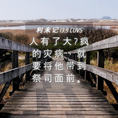 Picture 04 - 利 未 记 13:9 CUVS - 人 有 了 大 ? 疯 的 灾 病 ， 就 要 将 - Bible Verse Picture
