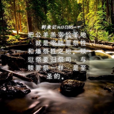 Picture 04 - 利 未 记 14:13 CUVS - 把 公 羊 羔 宰 於 圣 地 ， 就 是 宰 - Bible Verse Picture